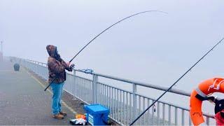 Is There a MONSTER in the MIST on the RIVER MERSEY