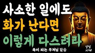 사소한 일에도 화가 난다면 이렇게 다스려라ㅣ부처님 말씀ㅣ불교 명언ㅣ석가모니 가르침
