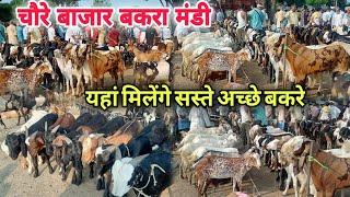 chaure bajar Bakra Mandi | चौरे बाजार बकरा मंडी फैजाबाद ||