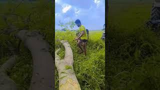 shani deval see boday re #trending #viral #youtubeshorts #new #pavansahu #india #instagram #video