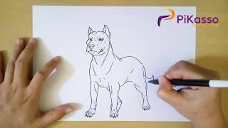 How to Draw a Pitbull step by step