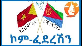 ጌታቸው ረዳ ኣብ በዓል ዓድዋ ስለምንታይ ዘይተሳተፈ?