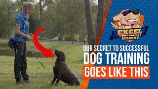 Our Secret to successful Dog Training goes like this! | Balanced Dog Training