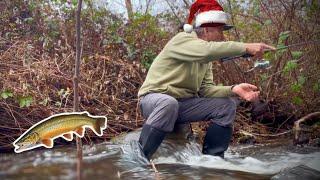 Christmas Creek Adventure: Solo Fishing for the Ultimate Holiday Gift