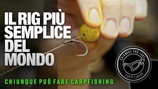 Il rig più semplice del mondo  - Chiunque può fare carpfishing | Carpfishing