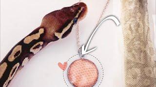 DIY | Making Reptile Jewelry!