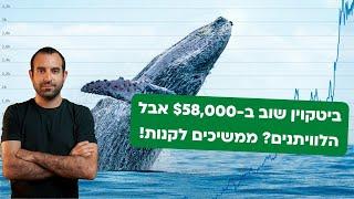 ביטקוין חוזר ל-$58,000 אבל ניתוח הבלוקצ'יין מראה: הלוויתנים מעמיסים!