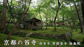 京都の苔寺 3選：西芳寺 常照皇寺 桂春院：Japanese Moss Gardens in Kyoto