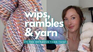 Acorn Knits Ep. 1 // Works in Progress, Stash Acquisition & The Yarn Thief