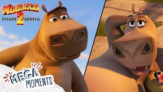 I Think MOTO MOTO Likes You  | Madagascar 2 | Extended Preview | Mega Moments