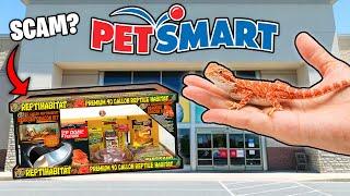 What is GOOD for Bearded Dragons at PetSmart?