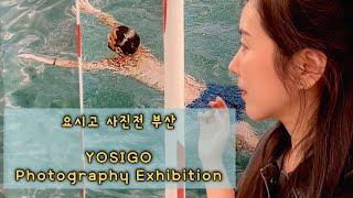 부산 전시회 [요시고 사진전] 추천해요 (YOSIGO Photography Exhibition]