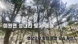 청주시 미원면 성대리 토지 매매 토지개발 투자