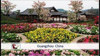 #14 Places to visit in Guangzhou | Picnic spot & Tourist Attraction | China Tourism