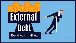 External debt Explained in 1 Minute | Ecoholics