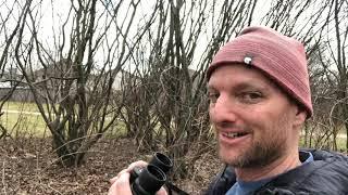 WRDSB Backyard Bird Count 2020