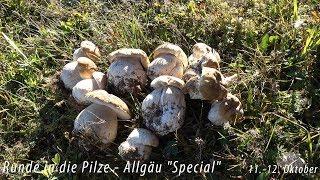 Runde in die Pilze - Allgäu "Special" - Oktober 2018