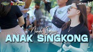 NANDA SAYANG - ANAK SINGKONG (ONE PRO LIVE ANNIVERSARY 4 REMAJA CEMETUK BERSATU)