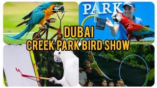 Dubai Indoor Attraction |[4k] Creek Park Exotic Bird Show at Dubai Dolphinarium