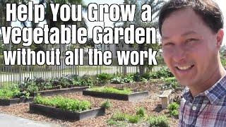 Help You Grow a Vegetable Garden in Miami without all the work