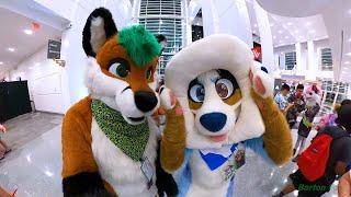 Another Furry Con 2024 - Random Clips