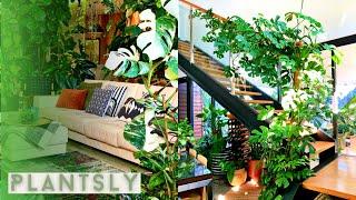 BEST INDOOR TROPICAL PLANTS | INDOOR TROPICAL GARDEN