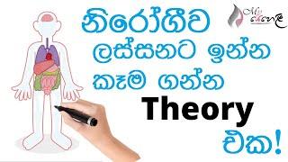 නීරෝගීව ලස්සනට ඉන්න නම් හැමෝම කෑම ගන්න ඕනි Theory එක!