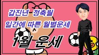 갑진년 정축월(1월) 일간별 운세