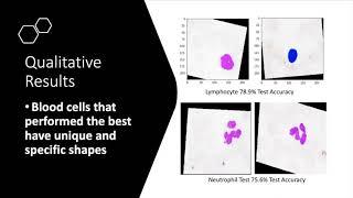 Blood Cell Classification - Applied Fundamentals of Machine Learning