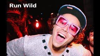 Run Wild - Harry Styles