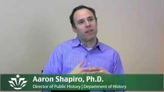 Digital Arts and Sciences Technologies: Aaron Shapiro