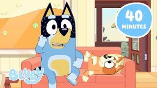 Playing Games with Bingo!    | Best Bluey Full Episodes and Minisodes | Bluey