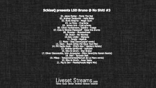 SchizeQ presents LSD Bruno @ No Shit! #3 FULL SET 720p HD - LivesetStreams.com