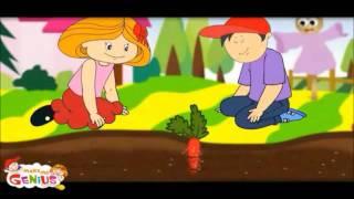 Plants Roots - Types ,Function - Lesson - Education videos for kids from www.makemegenius.com