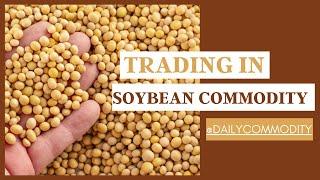 How to Trade Soybean Commodity? | Soybean Commodity | Futures and Options | Daily Commodity