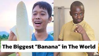 The Biggest “Banana” in The World