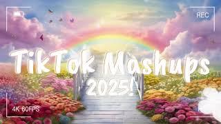 TikTok Mashup 2025 March (Not Smooth)