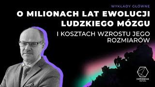 O milionach lat ewolucji ludzkiego mózgu i kosztach wzrostu jego rozmiarów, Bogusław Pawłowski