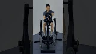 IFP1302 Impulse Fitness IFP1302 SEATED ROW