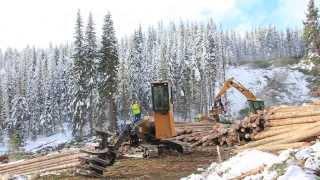 Logging (4 leaf logging)