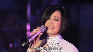 江蕙~2008/2013演唱會合輯