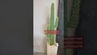 Выставочный магазин - салон cactus, доп. скидка 5% на изделия из камня #shorts