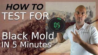 How To Test For Black Mold In 5 Minutes