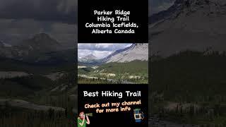 Parker Ridge Hiking Trail, Columbia Ice fields, Alberta, Canada