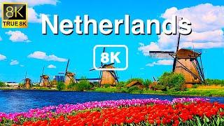 Netherlands 8K Video Ultra HD 120 FPS | 8K TV by TRUE 8K