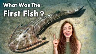 If we all came from fish, where (or what) did fish come from? GEO GIRL