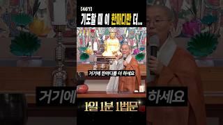 기도할 때 이 한마디만 더해보세요 #shorts #모든중생이함께 #기도하는방법