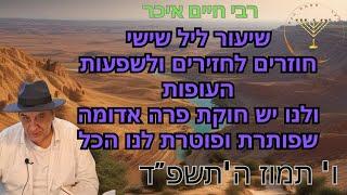 שיעור ליל שישי חוזרים לחזירים ולשפעות העופות  ולנו יש חוקת פרה אדומה שפותרת ופוטרת לנו הכל