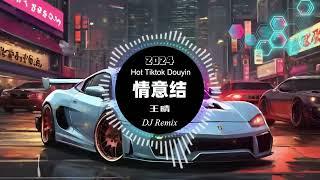 王晴 - 情意结 remix chinese dj 2024 (抖音热搜版) [ 最新最火dj抖音版2024 ] 【抖音热门歌曲】抖音 Hot Tiktok Douyin | DJ Remix