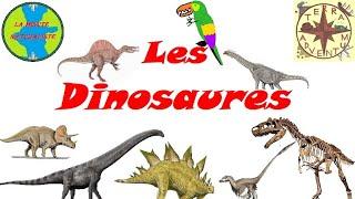 Les Dinosaures [Minute Naturaliste #27]